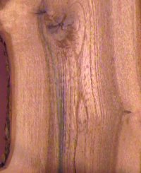 Tulipwood Sample